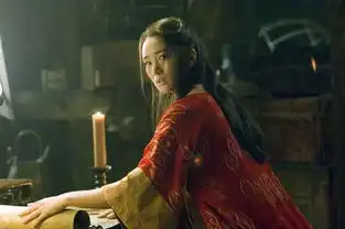 cctv.com
