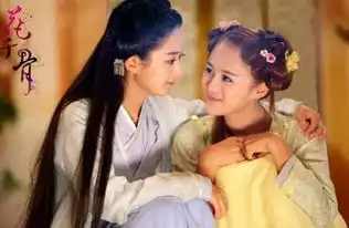 胡冰卿为什么不演旋风少女2安悦溪个人资料接任百草
