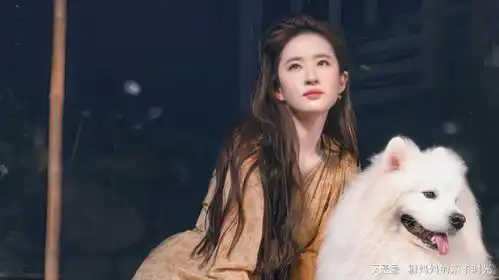 黄亦玫离婚带女儿回京,庄国栋打算重新追求她,黄亦玫委婉拒绝
