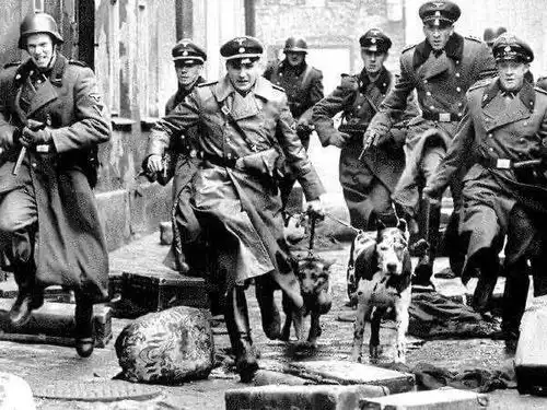 魔戒重现,一起拯救中土世界