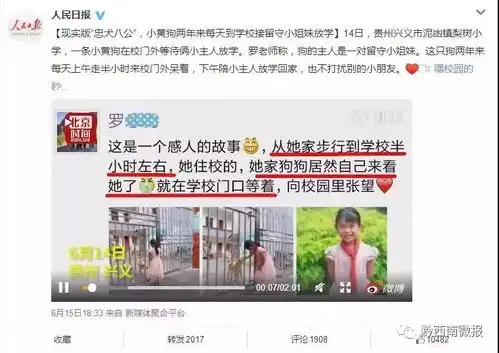 现实版忠犬八公兴义一小黄狗每天来学校接姐妹俩放学
