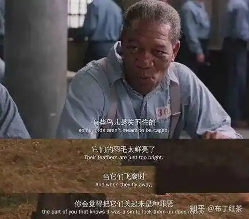 肖申克的救赎救赎之道是希望
