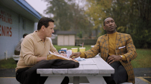 91届奥斯卡最佳影片提名巡礼绿皮书为谢利先生开车