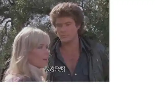 霹雳游侠电视剧当中李麦克的女朋友是谁
