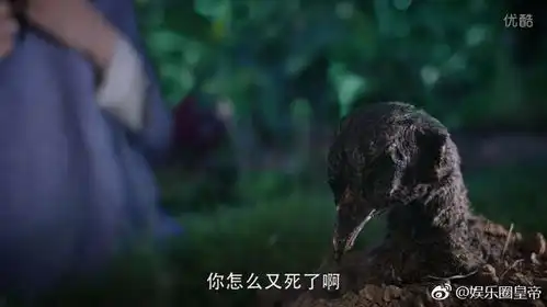 杨紫用事实告诉了我们,神秘感才是最迷人的药