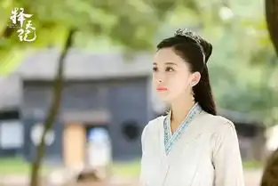 杨幂是四海八荒第一美人刘亦菲不服
