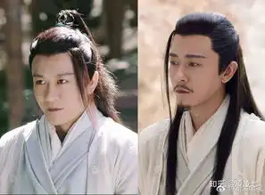 如何评价2019版倚天屠龙记里林雨申饰演的杨逍
