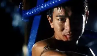 问刘德华演得电影阿虎里最后阿虎怎么了死了吗
