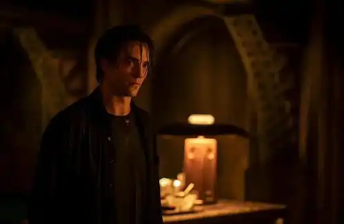 这部电影的剧情丝毫不拖泥带水,谜语人的演技不用多讲,一直在线
