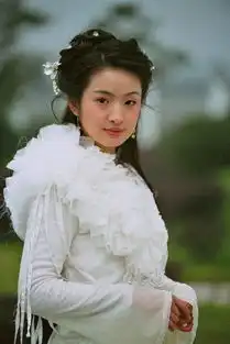 林依晨演过那些电视剧
