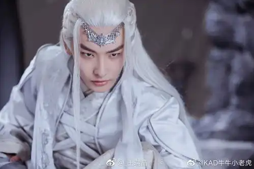 造型惊艳众人的王瑞昌