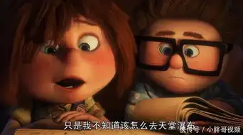 飞屋环游记我能想到最浪漫的事,就是陪你终老,带你飞翔