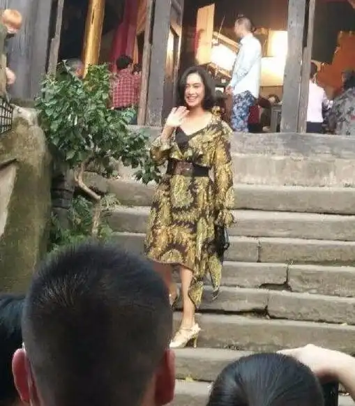 朱茵晒49岁庆生照,脸的确不太显老,但看身型是典型的中年妇女