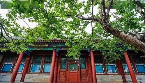 世界现存最大皇家园林颐和园的夏天
