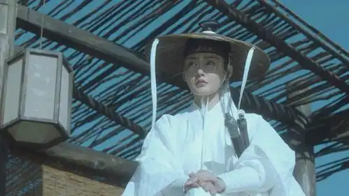 雪中悍刀行南宫仆射什么实力,能到王仙芝和李淳罡的高度吗