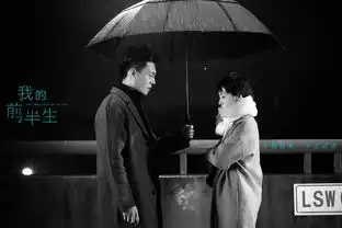 逆天阵容陈道明靳东马伊琍携手前半生
