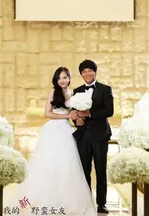 新野蛮女友电影宋茜饰演霸道女总裁
