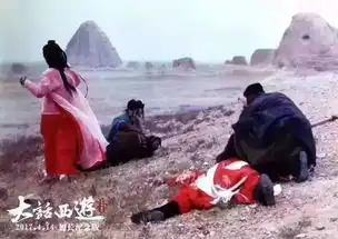 这里的定向观星露营你参与过吗还有
