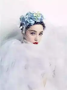 范冰冰婚纱照大曝光