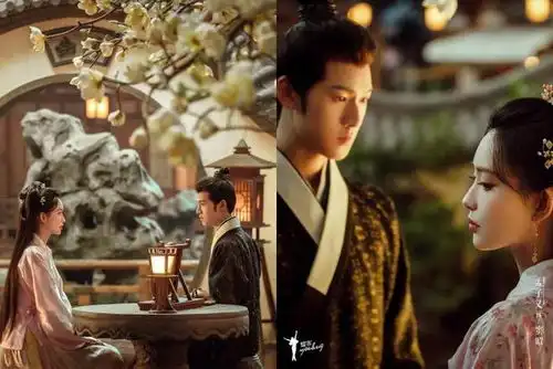 2024下半年电视剧必追待播盘点10部,杨紫国色芳华再搭李现
