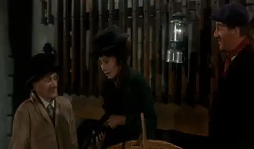 窈窕淑女语言中的他与她