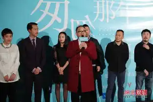 匆匆那年红毯王菲匆匆捧场黑超抢镜
