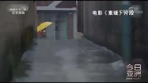 这个恶魔12月将出狱老家城市加装3700个摄像头
