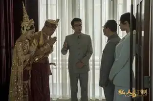 私人订制影评冯小刚去哪儿露脸还是现眼