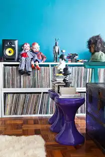 带大家看一下收藏家的家居