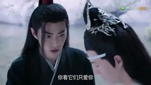 陈情令魏婴说兔子是认主的,它只爱你,蓝湛将兔子送给他