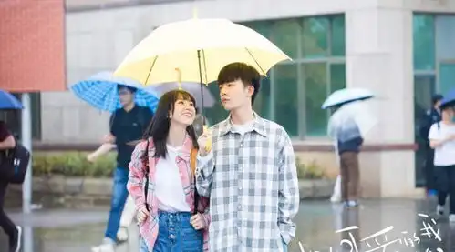 推荐几部高糖小甜剧,每一部都很好看,值得重刷