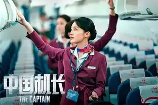 欢度国庆19.9元中国机长空乘天团英姿飒爽飞行员气宇轩昂
