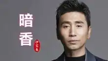 沙宝亮金粉世家主题曲暗香,撕心裂肺的歌声,好听感人
