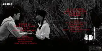 山楂树之恋精美画册
