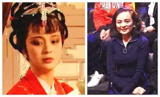 87版红楼梦金陵十二钗演员今昔对比照及现状揭秘
