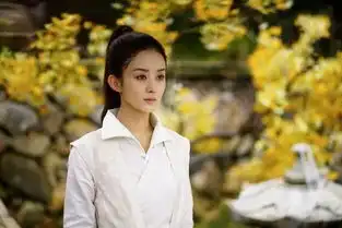 赵丽颖郑晓龙同框,照片曝出后引网友猜测,二人是否将合作新剧
