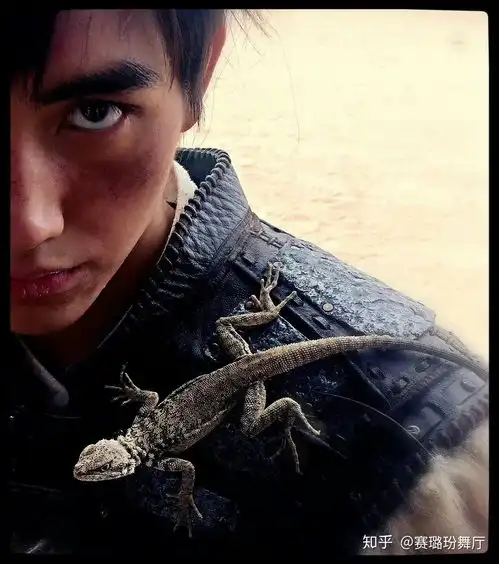 如何评价陈飞宇的长相