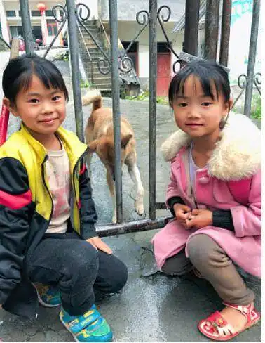 现实版忠犬八公故事,小黄狗每天接送6岁留守小妹妹上学和放学