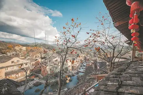 周末去哪儿福建绝美赏秋打卡地来这里,邂逅秋日童话
