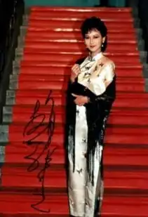 杨幂淑女孙俪素雅女星穿旗袍谁最美
