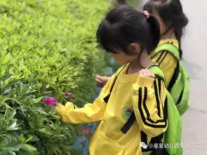 探究春天快乐相伴小星星幼儿园户外社会课堂
