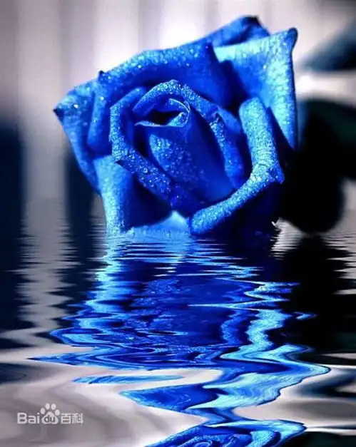 创意写作全国有奖征集关于蓝色乐活的悬疑故事
