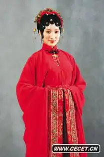 新红楼梦李艳饰演袭人
