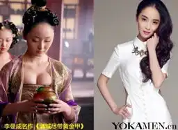 一夜爆红明星命运差大不同经过岁月现在的他们还好吗
