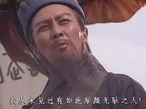 王司徒虽然骂不过诸葛亮,但他有一皇帝后代,这点诸葛亮可比不了
