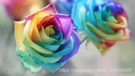 web开发基础学习笔记整理6qq44458489的博客csdn博客
