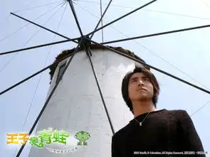 王子变青蛙剧照