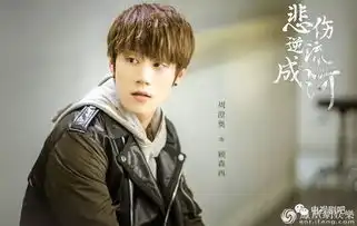 拂去岁月感的灰尘悲伤逆流成河携青春回归