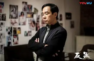 反黑陈凤翔剧照

