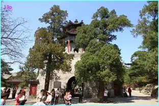 皇家园林颐和园
